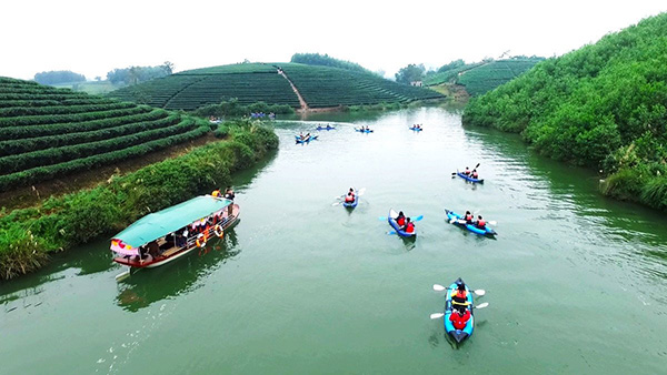 Ngoài biển Cửa Lò, Nghệ An còn có những "ốc đảo xanh" độc đáo: Cảnh được nhận xét không giống nơi nào - Ảnh 12.