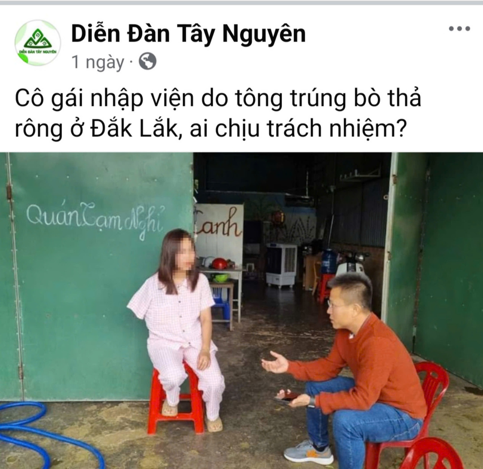 Phân định trách nhiệm vụ cô gái 26 tuổi bị bò tông trúng- Ảnh 1.