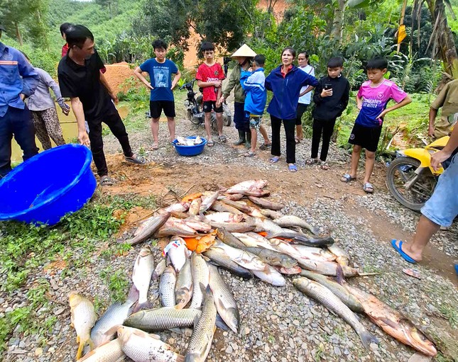 Vụ cá trong 4 ao chết hàng loạt: Đầu độc ao cá vì mâu thuẫn với hàng xóm - Ảnh 2.