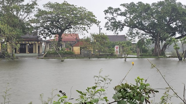 Chưa hết lụt, nhiều vùng trũng Thừa Thiên-Huế đối mặt mưa cực lớn, úng ngập trầm trọng - Ảnh 4.