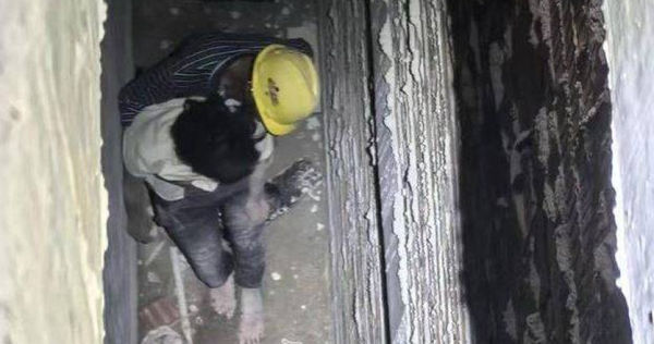 Đột nhiên biến mất 12 ngày sau khi đi vệ sinh lúc nửa đêm, người phụ nữ được phát hiện ở nơi kinh hoàng nhất - Ảnh 1. Đột nhiên biến mất 12 ngày sau khi đi vệ sinh lúc nửa đêm, người phụ nữ được phát hiện ở nơi kinh hoàng nhất - Ảnh 1.