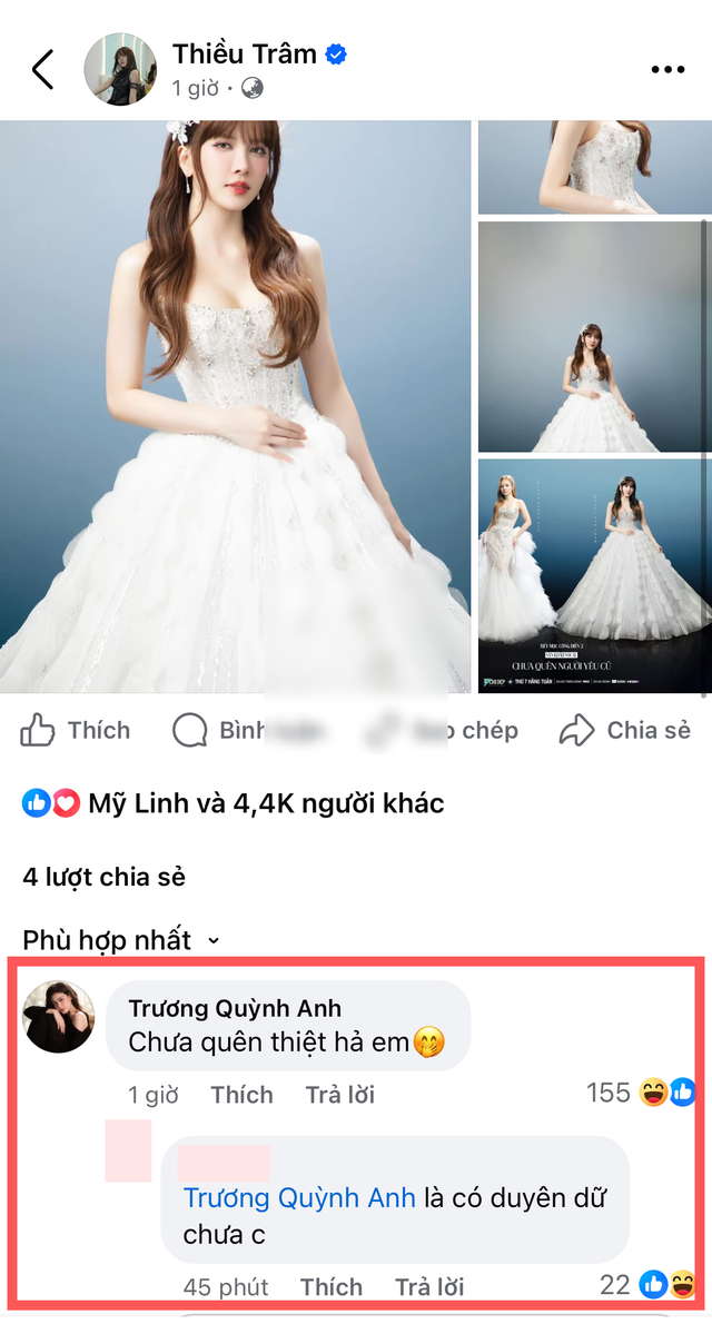 Trương Quỳnh Anh vướng tranh cãi vì 1 bình luận kém duyên với Thiều Bảo Trâm- Ảnh 2. Trương Quỳnh Anh vướng tranh cãi vì 1 bình luận kém duyên với Thiều Bảo Trâm- Ảnh 2.