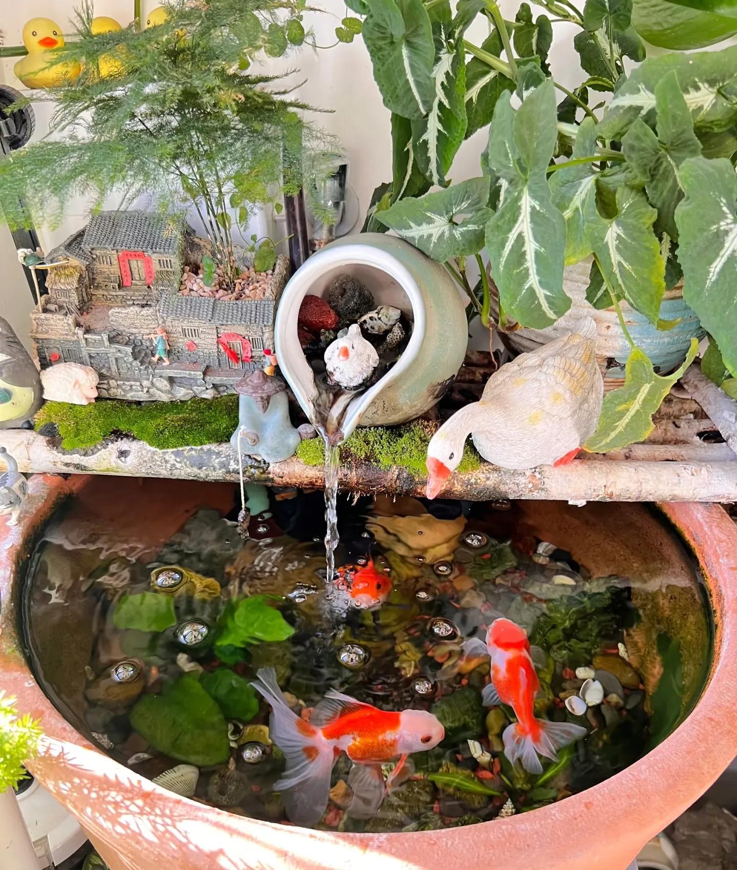 Sốc với “vườn ban công” nhà hàng xóm: Ban công nhỏ còn làm được, dạy cho một bài học - Ảnh 8. Sốc với “vườn ban công” nhà hàng xóm: Ban công nhỏ còn làm được, dạy cho một bài học - Ảnh 8.