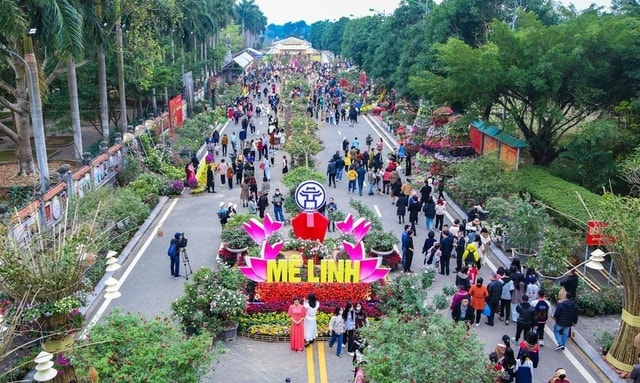 Festival hoa Mê Linh được tổ chức từ 26 đến 28-12 - Ảnh 1.