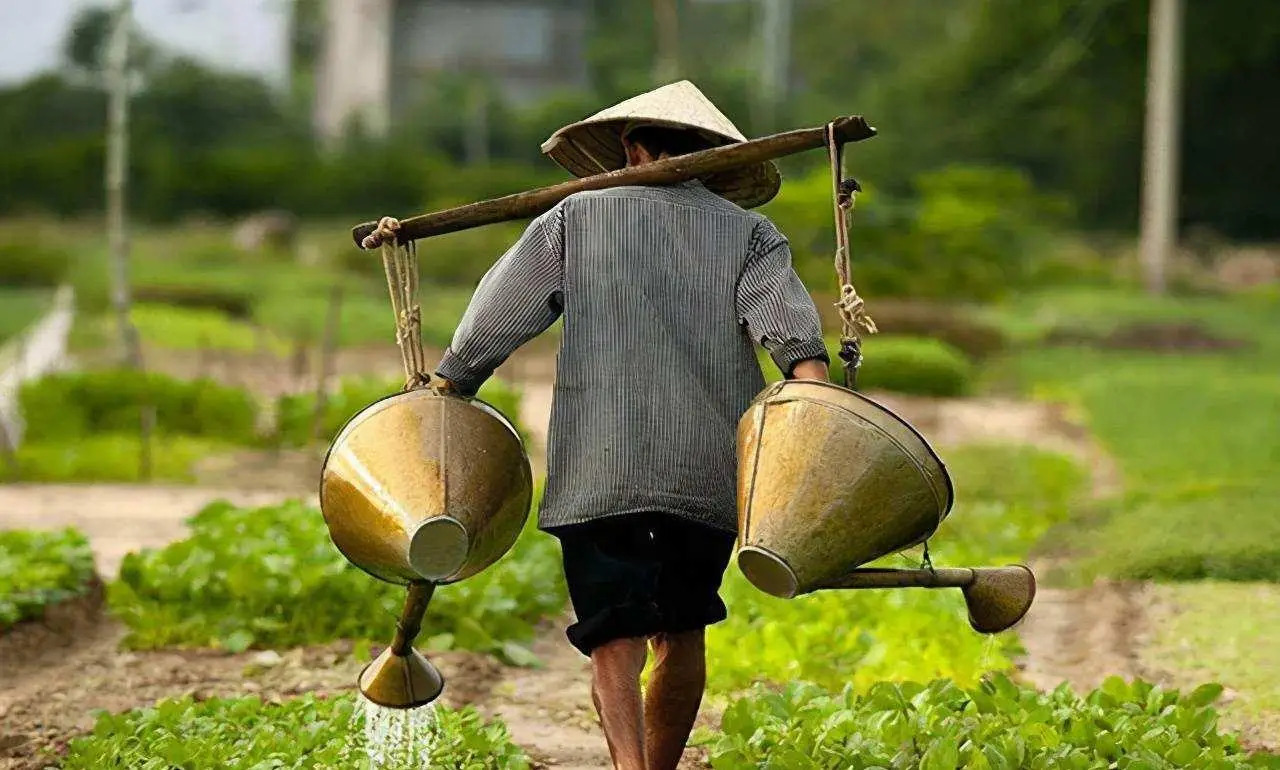 Nữ sinh học rất giỏi nhưng thi ĐH chỉ được 47/750 điểm, ông nội yêu cầu phúc khảo, những gì cháu viết trên giấy khiến ông điếng người - Ảnh 3. Nữ sinh học rất giỏi nhưng thi ĐH chỉ được 47/750 điểm, ông nội yêu cầu phúc khảo, những gì cháu viết trên giấy khiến ông điếng người - Ảnh 3.