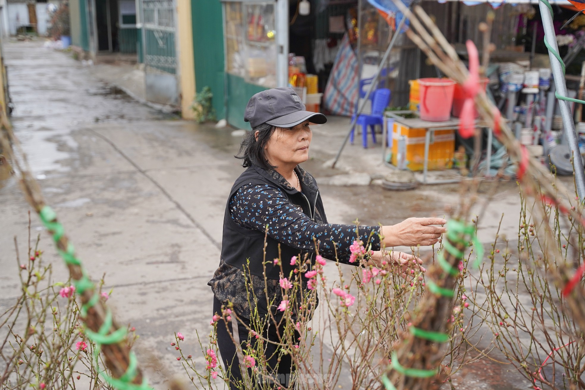 Đào, quất xuống phố mang không khí Tết đến sớm với người dân Thủ đô - Ảnh 9.