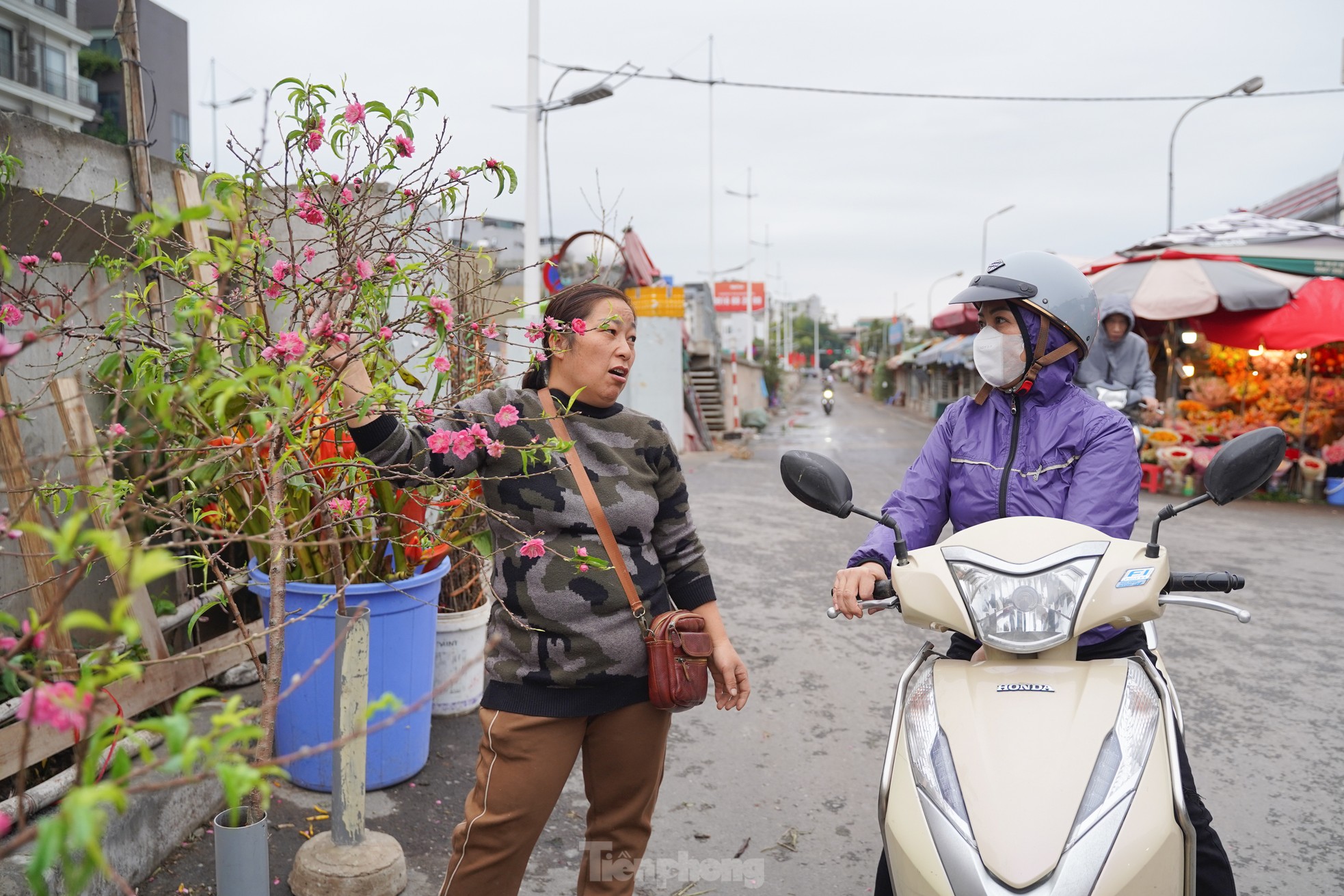 Đào, quất xuống phố mang không khí Tết đến sớm với người dân Thủ đô - Ảnh 7.