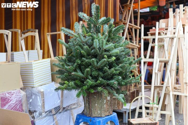 Khách tiết kiệm chi tiêu, tùng, thông tươi mini 'lên ngôi' mùa Noel - Ảnh 16.