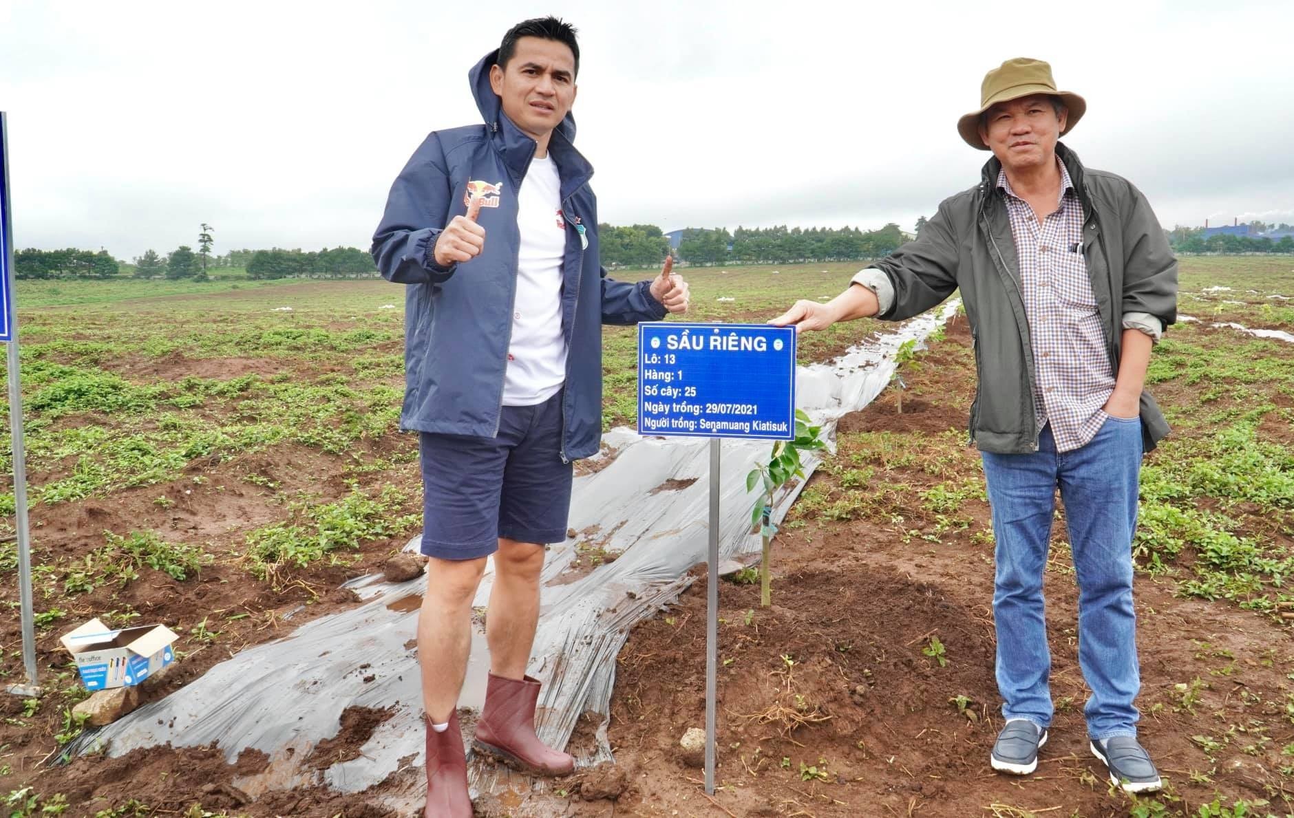 Loại quả 'bán giá nào cũng lãi' quá hot, bầu Đức sắp tăng gấp đôi diện tích trồng, dự kiến bội thu hàng nghìn tỷ đồng - Ảnh 2.
