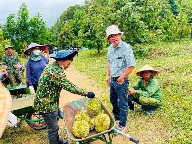 Loại quả 'bán giá nào cũng lãi' quá hot, bầu Đức sắp tăng gấp đôi diện tích trồng, dự kiến bội thu hàng nghìn tỷ đồng - Ảnh 1.