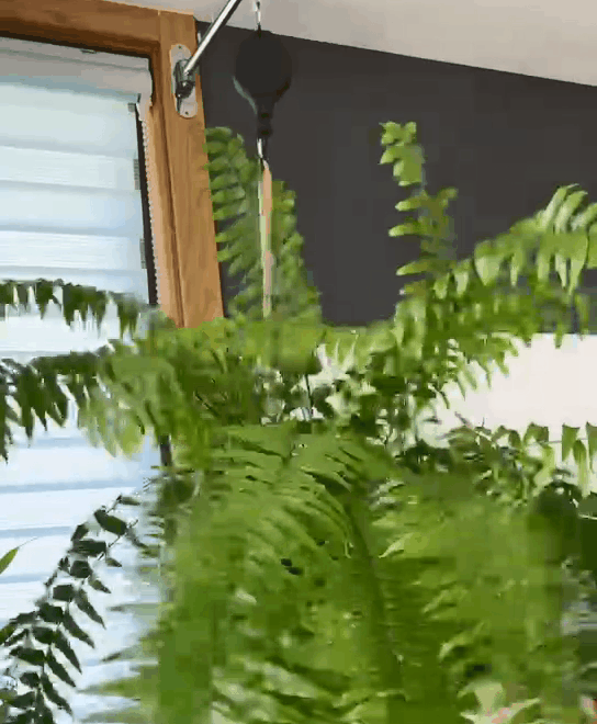 Mẹ tôi mua 8 món đại hạ giá: Lúc đầu cả nhà coi thường, giờ ai cũng Mẹ tôi mua 8 món đại hạ giá: Lúc đầu cả nhà coi thường, giờ ai cũng