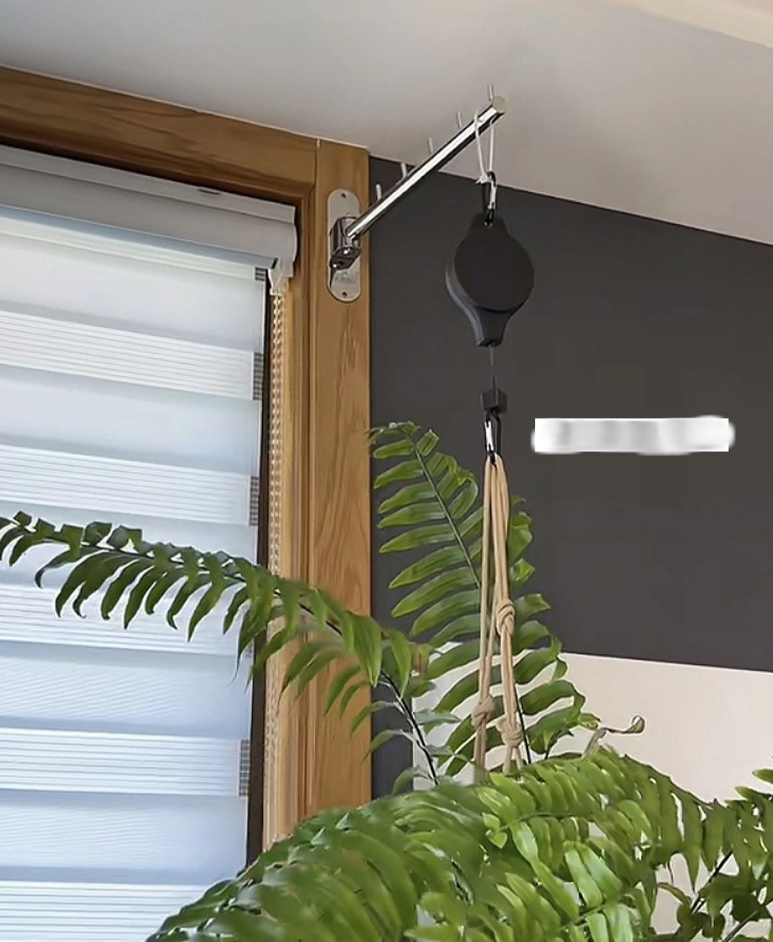 Mẹ tôi mua 8 món đại hạ giá: Lúc đầu cả nhà coi thường, giờ ai cũng Mẹ tôi mua 8 món đại hạ giá: Lúc đầu cả nhà coi thường, giờ ai cũng