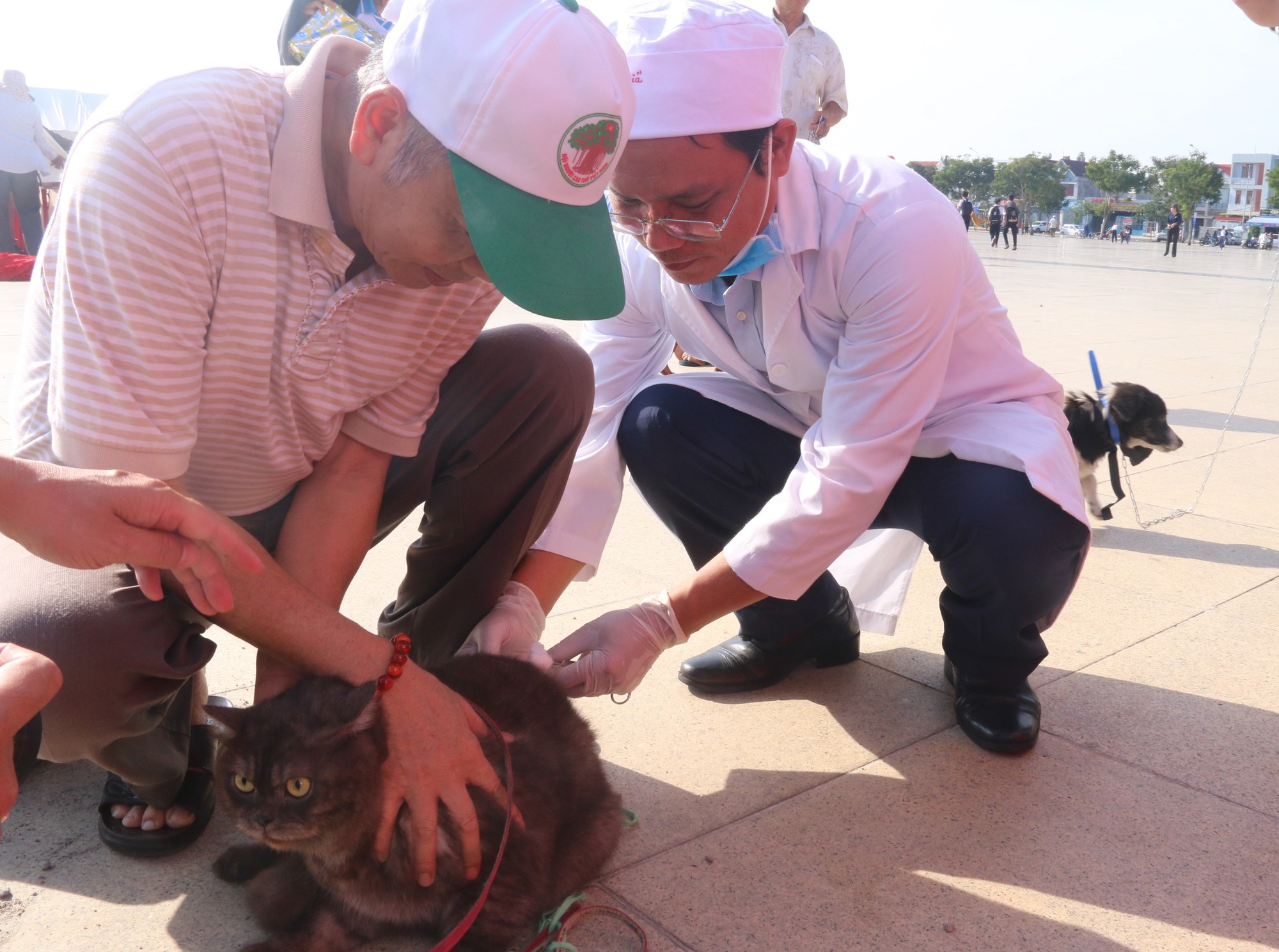 Chủ quán thịt chó mắc bệnh dại, lúc lên cơn đã bỏ chạy ra ngoài đập cửa nhà dân- Ảnh 1.