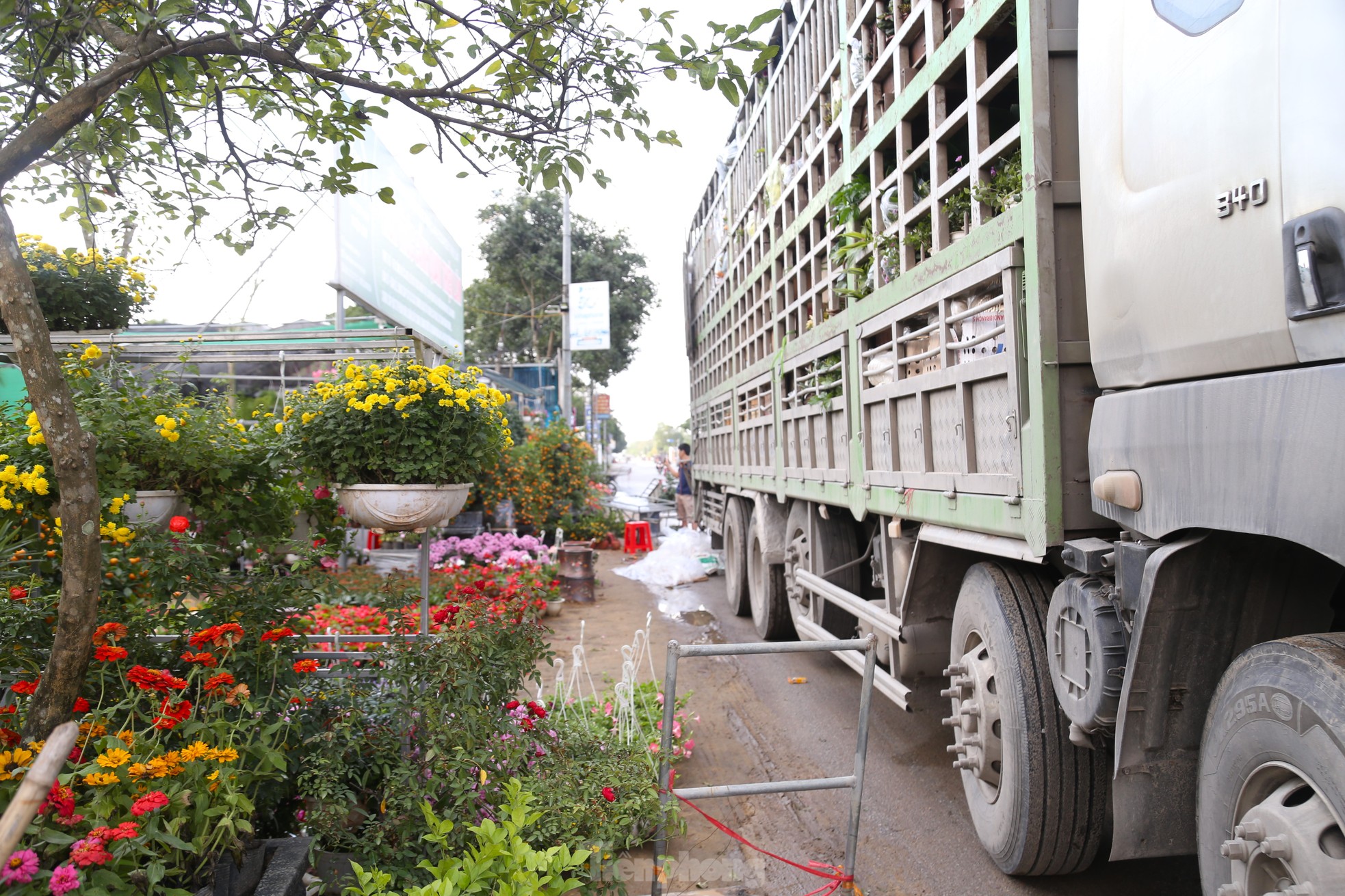 Mưu sinh ở làng hoa mong Tết ấm - Ảnh 3.