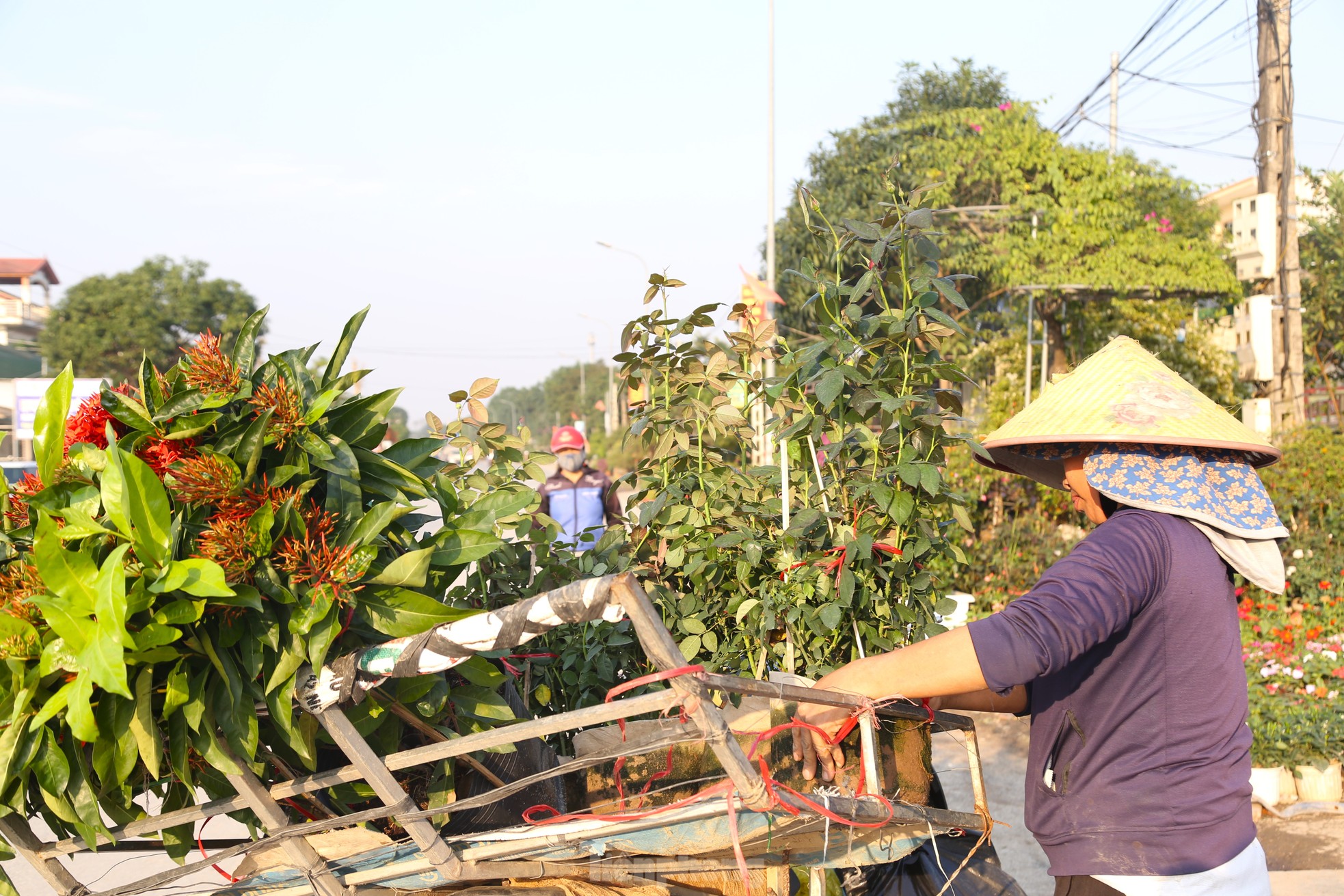 Mưu sinh ở làng hoa mong Tết ấm - Ảnh 7.