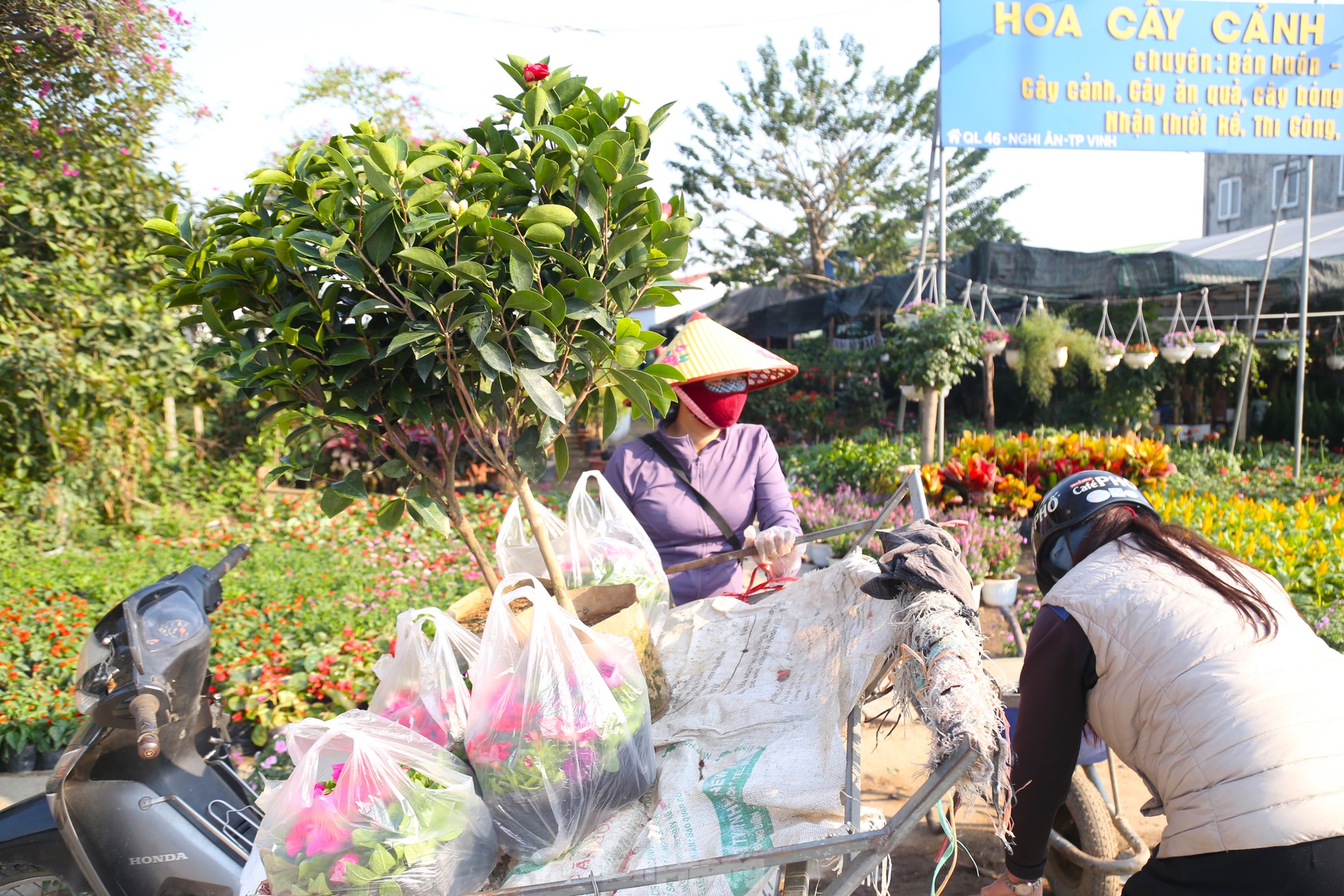 Mưu sinh ở làng hoa mong Tết ấm - Ảnh 9.