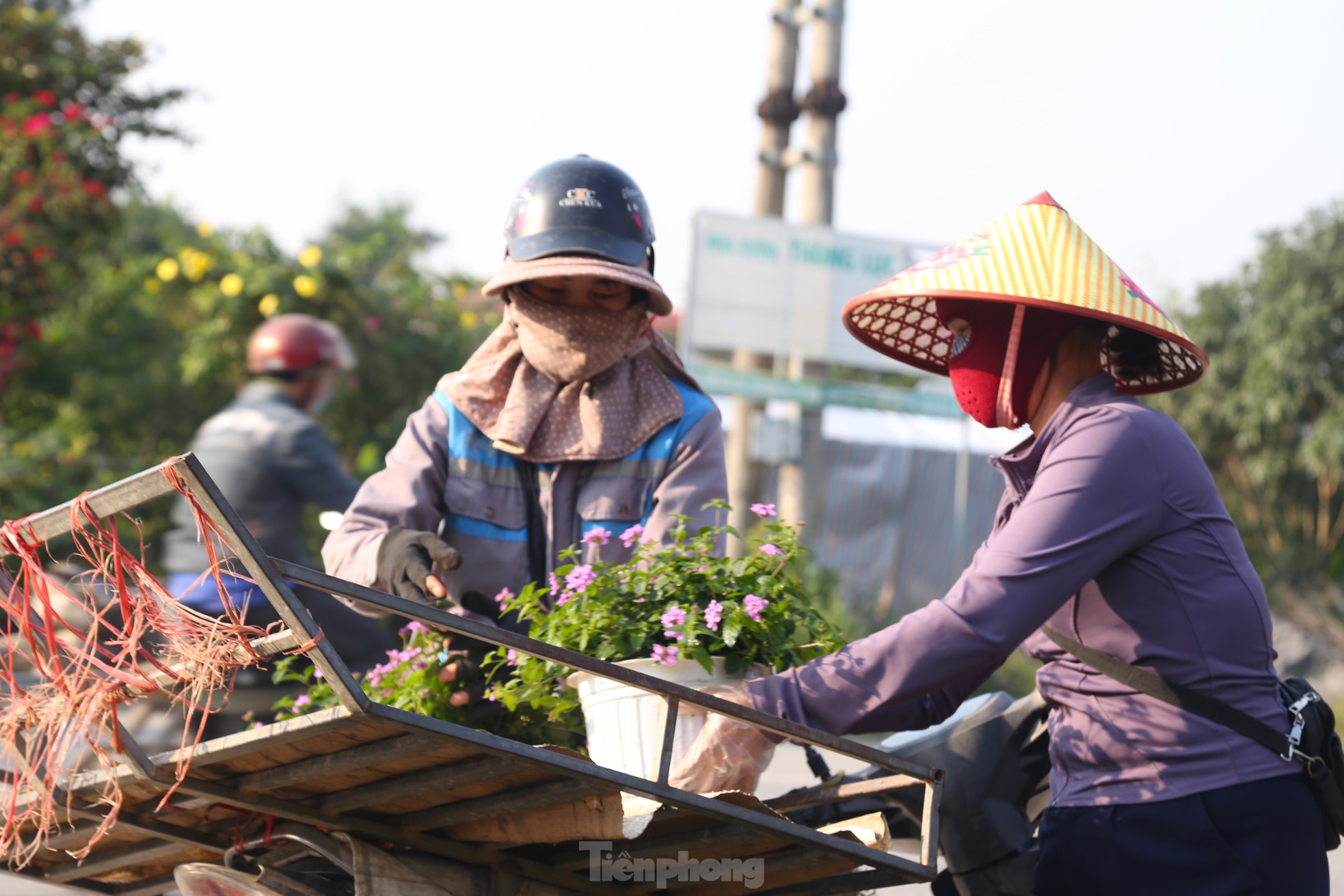 Mưu sinh ở làng hoa mong Tết ấm - Ảnh 4.