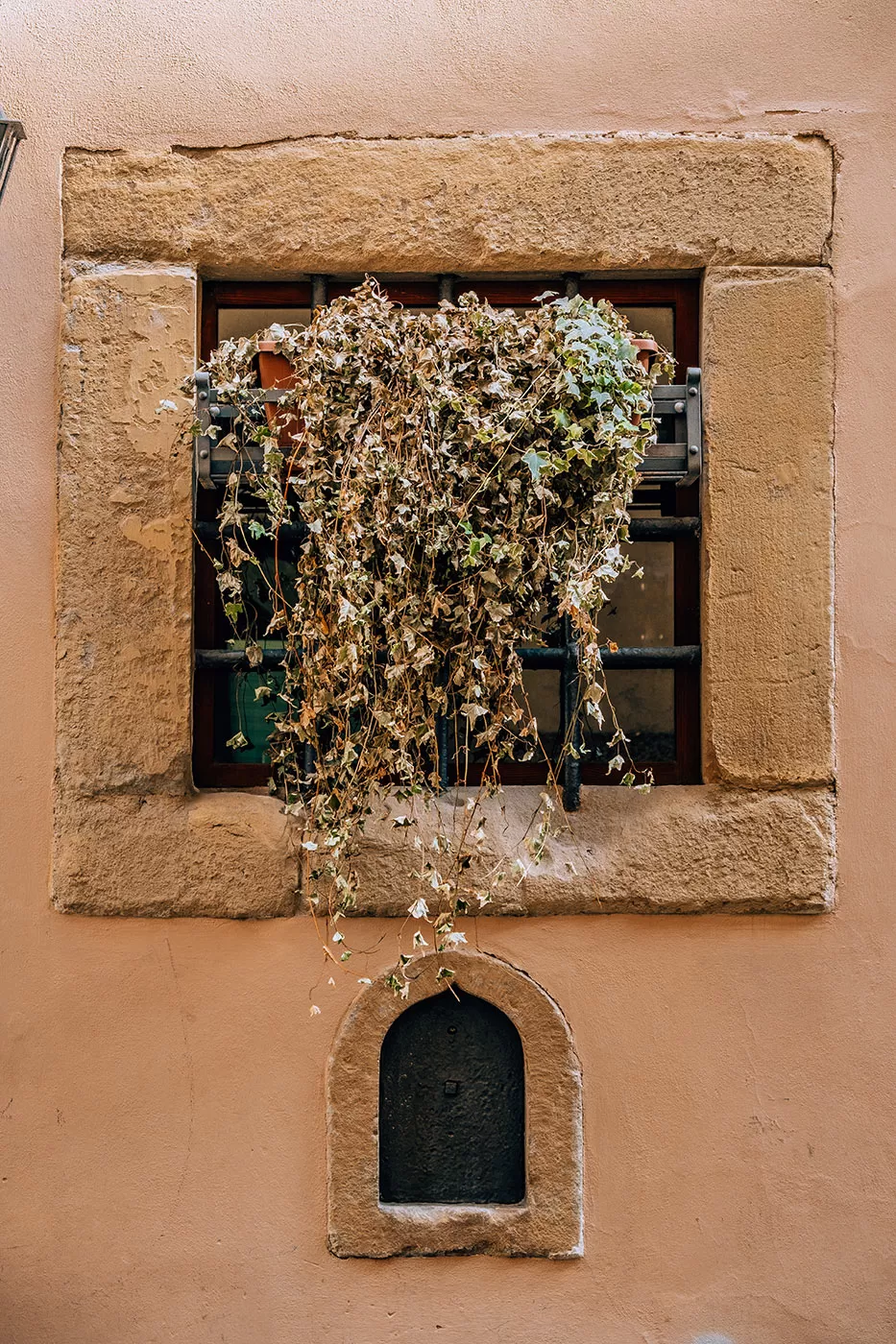 wine-windows-in-florence-il-latini-wine-window-17350144512811037332854.png