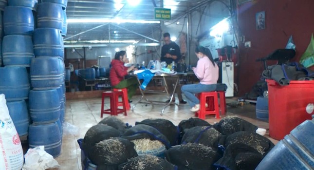 Bách hoá Xanh lên tiếng vụ bán giá đỗ ngậm hoá chất, ăn nhiều có thể tử vong - Ảnh 3. Bách hoá Xanh lên tiếng vụ bán giá đỗ ngậm hoá chất, ăn nhiều có thể tử vong - Ảnh 3.