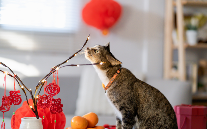 Tết Dương lịch 2025: 3 điều không nên làm để đón năm mới dồi dào tài lộc - Ảnh 1.