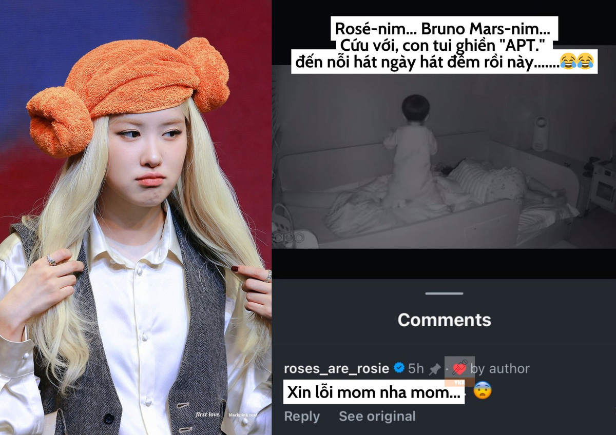 Rosé “trời ơi mom ơi, tui xin lỗi mom” khi có một em bé mê bài APT, hát um sùm không chịu đi ngủ  - Ảnh 3.