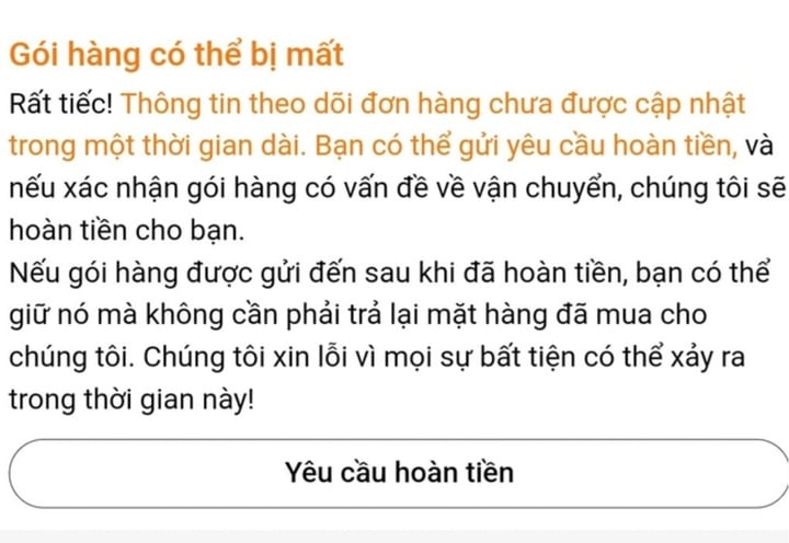 Temu ngừng kinh doanh ở Việt Nam: Người tiêu dùng lo mất tiền, thưởng hoa hồng - Ảnh 2.