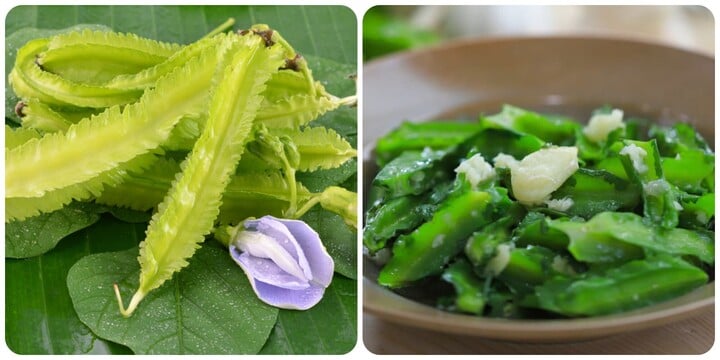 Ăn đậu rồng thường xuy&ecirc;n c&oacute; tốt? - Ảnh 1.