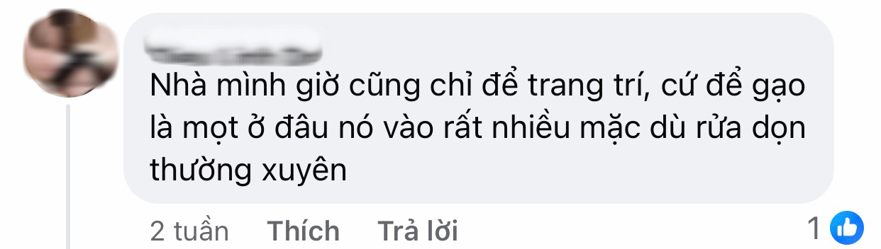 1 thiết kế 