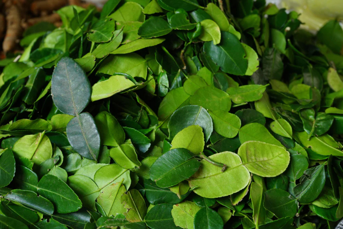 Loại lá thơm nức không thể thiếu trong mâm cơm Việt ngày Tết giúp thúc đẩy trao đổi chất, ngăn ngừa lão hóa - Ảnh 2.