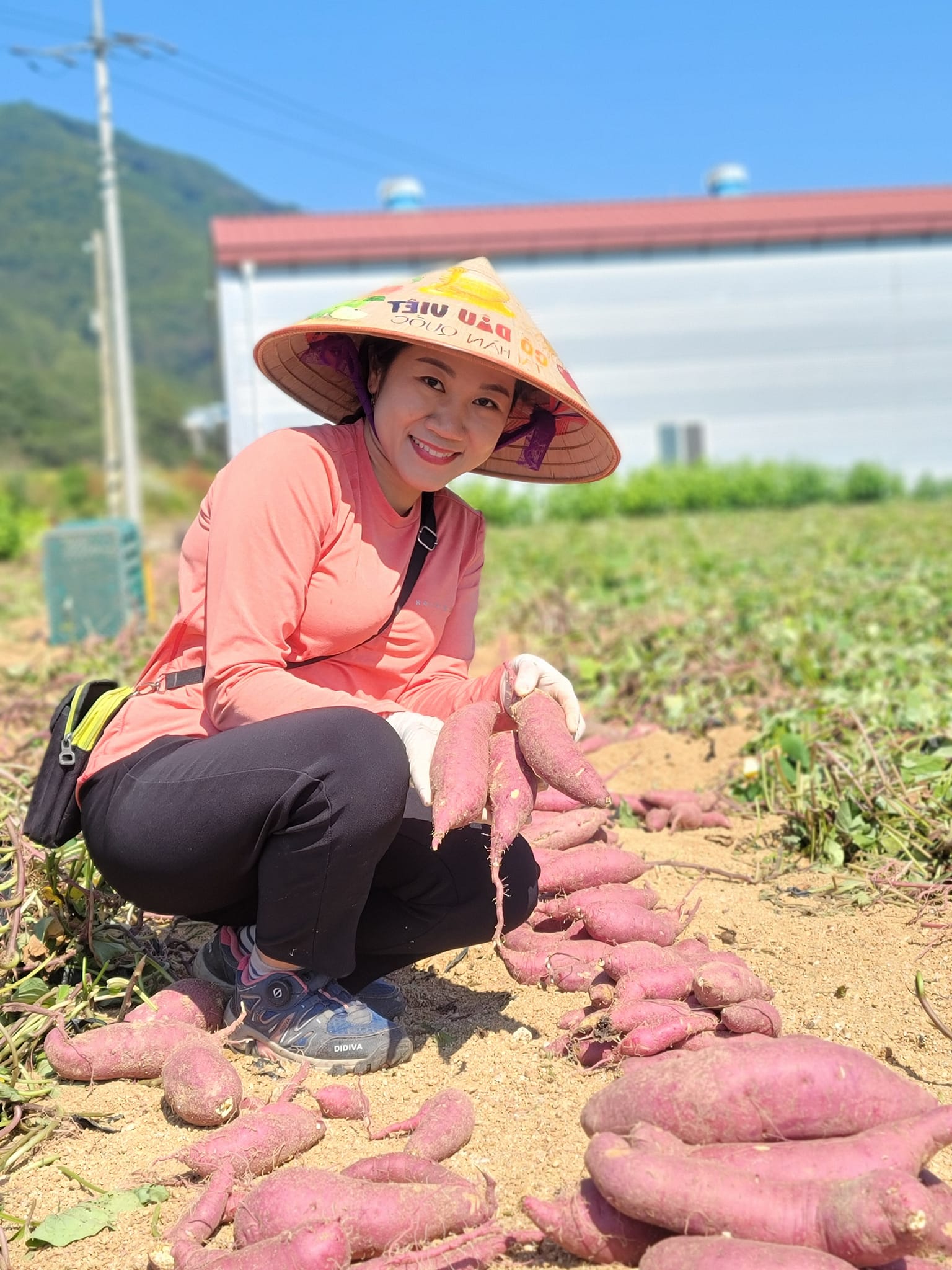 Được mai mối cho ông nông dân Hàn, cô gái Việt không ngờ chồng là “địa chủ”, 15 năm sau thành bà trùm nông sản - Ảnh 15.
