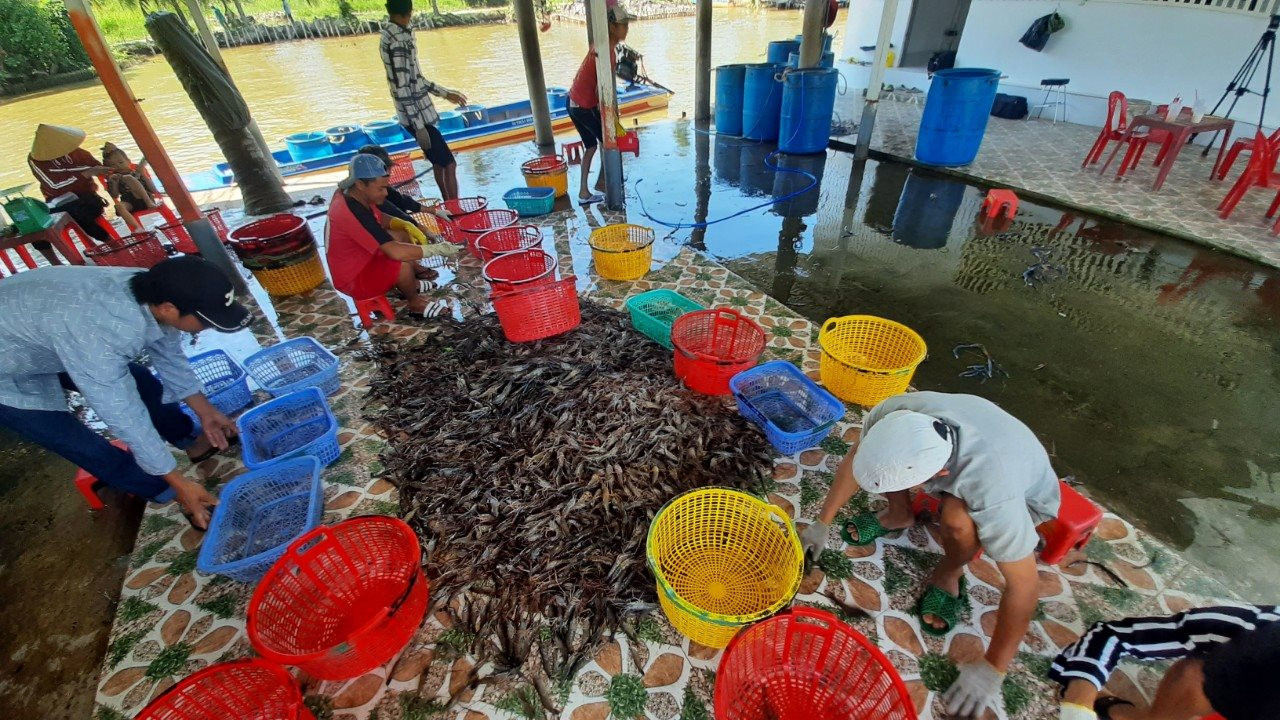 Kỳ tích trên &quot;Cánh đồng chó ngáp&quot; - Ảnh 3.