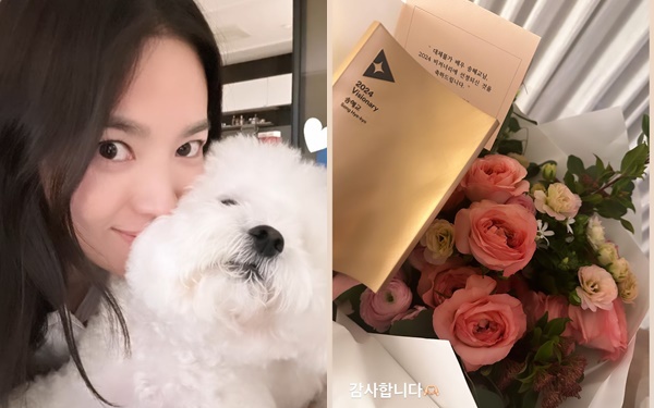 Song Hye Kyo khoe ảnh hoa hồng đúng ngày Valentine, netizen đồn đoán đã có tình yêu mới