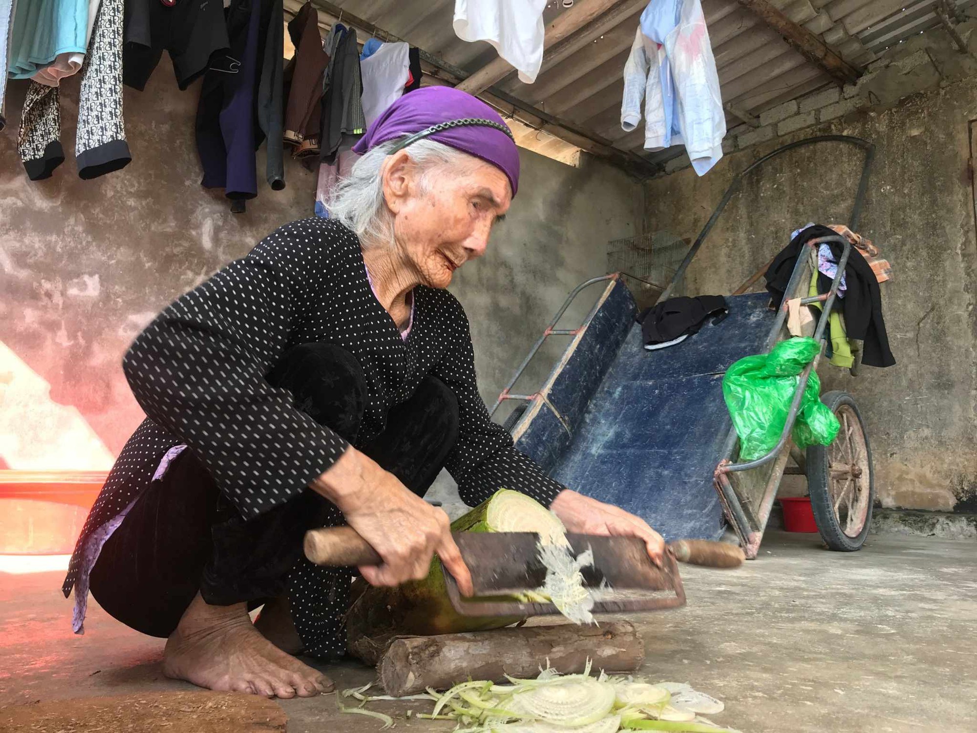 Đầu năm mới về thăm &quot;làng trường thọ&quot;, gặp cụ bà 105 tuổi vẫn khỏe mạnh minh mẫn, chăm làm việc nhà- Ảnh 1.