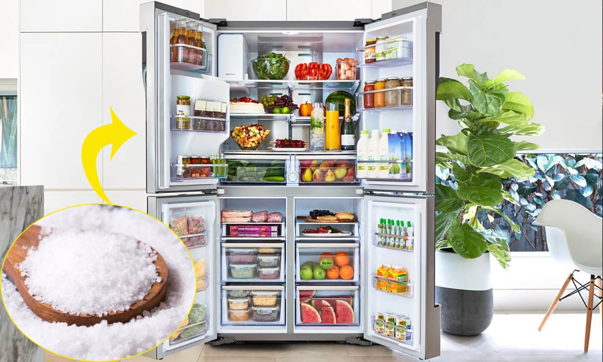 Để một ít muối vào tủ lạnh, bạn có thể thấy ngay công dụng tuyệt vời - Ảnh 3.