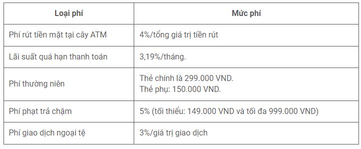 Chị em thu nhập từ 5-8 triệu/tháng nên dùng 3 loại thẻ tín dụng này - Ảnh 2.