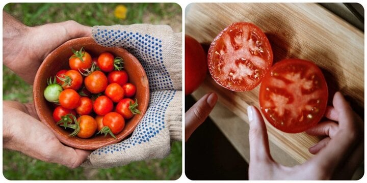 Điều gì sẽ xảy ra nếu bạn ăn một nửa quả cà chua mỗi ngày? - Ảnh 1.