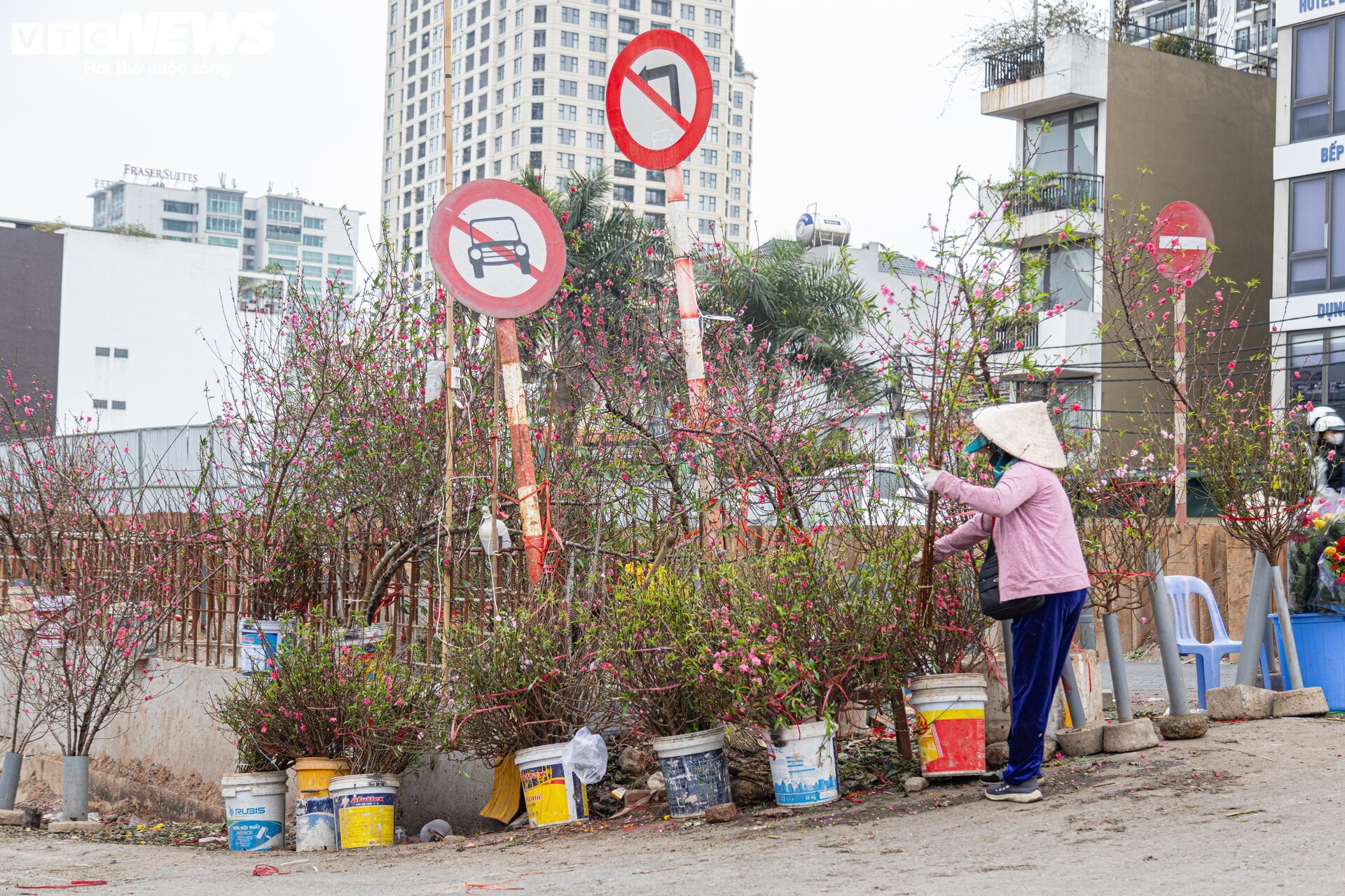 Tiểu thương 'xả' đào, quất sau Tết, bán giá rẻ như cho - Ảnh 4.