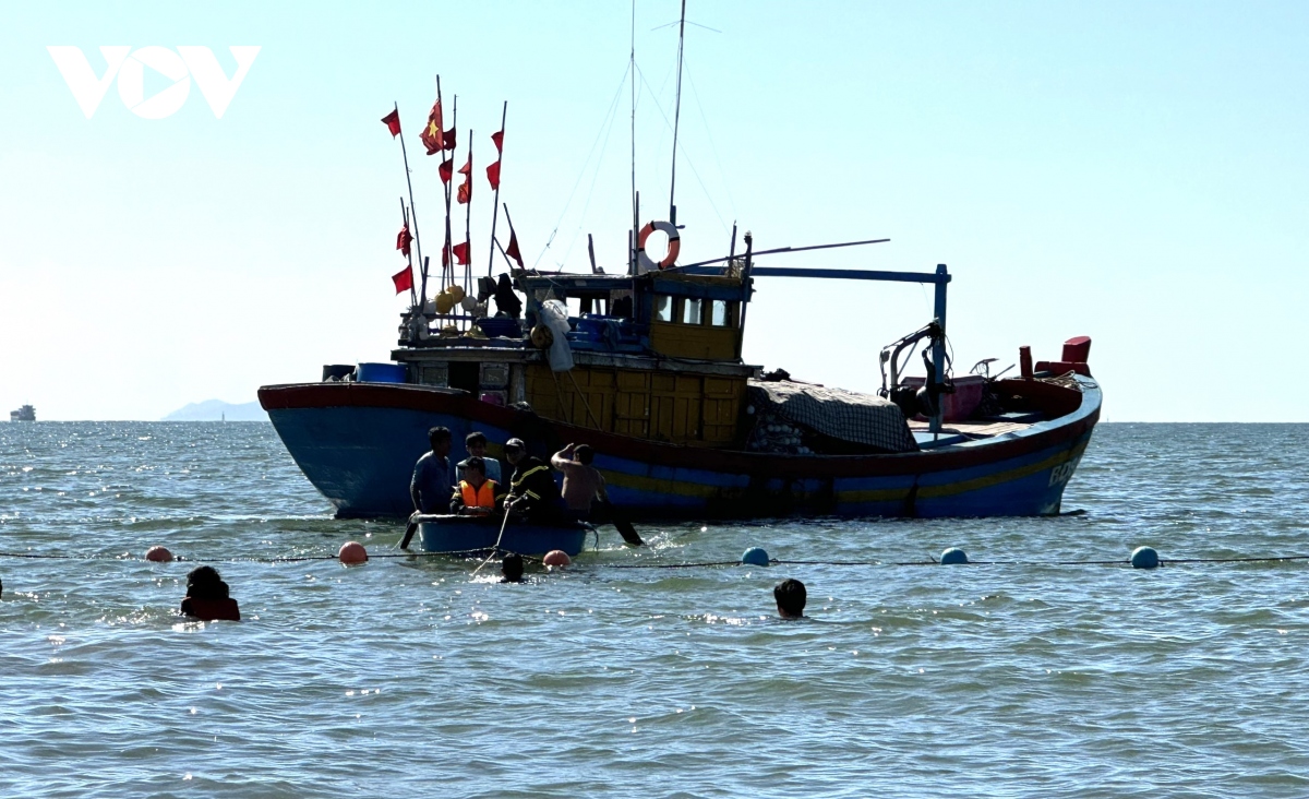 Giải cứu thành công cá voi trôi vào biển Quy Nhơn - Ảnh 4.