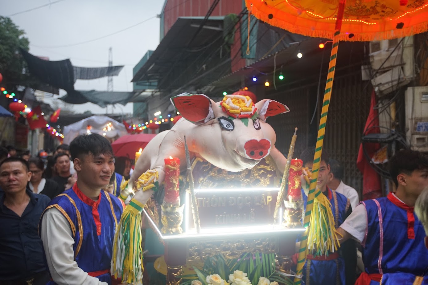 Lợn được dâng tế được tuyển chọn kỹ càng, nuôi dưỡng cẩn thận, chu đáo với cân nặng từ 120 kg đến 250 kg.