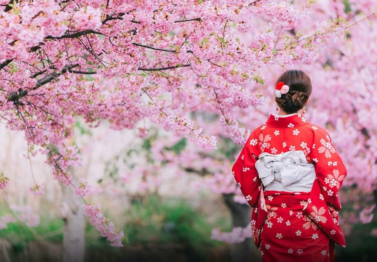Hoa anh đào ở Nhật Bản bung nở sớm bất thường, du khách thích thú nhưng là dấu hiệu tiêu cực không thể coi nhẹ- Ảnh 2.