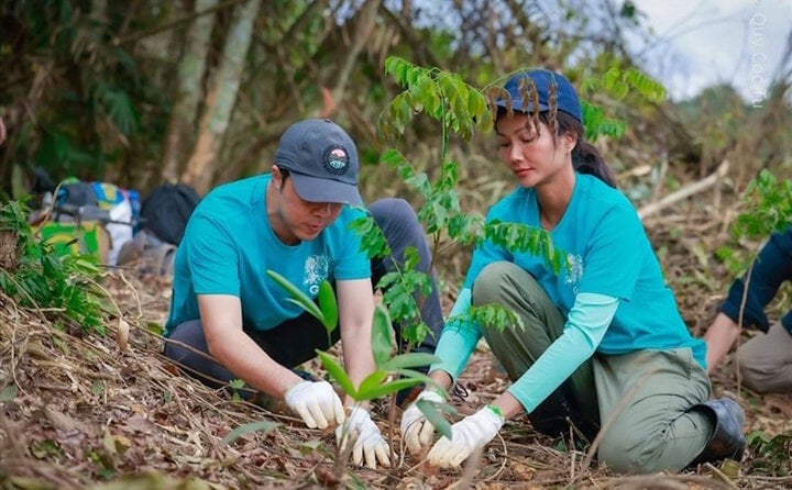 Bị chê 'bèo' vì chỉ góp 86 triệu đồng cho dự án trồng rừng, H'Hen Niê lên tiếng - Ảnh 1.