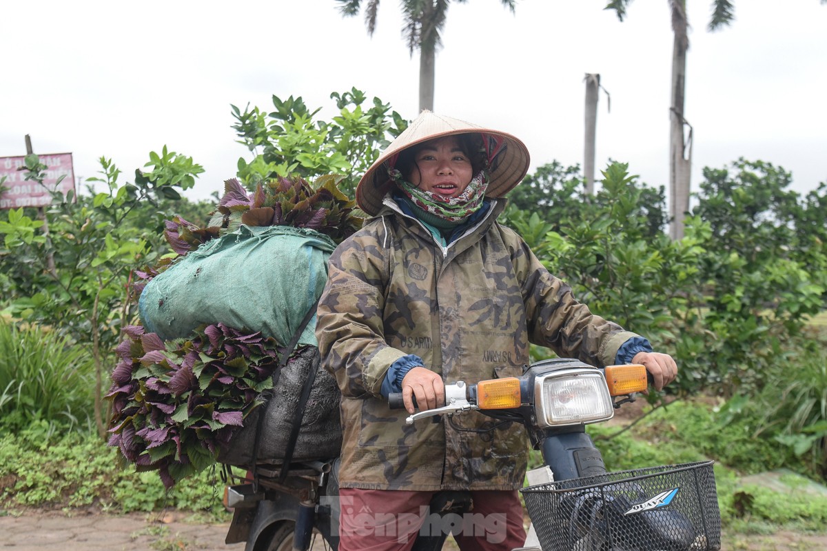 Nhịp sống người dân Thủ đô trong những ngày mưa rét dị thường - Ảnh 10.