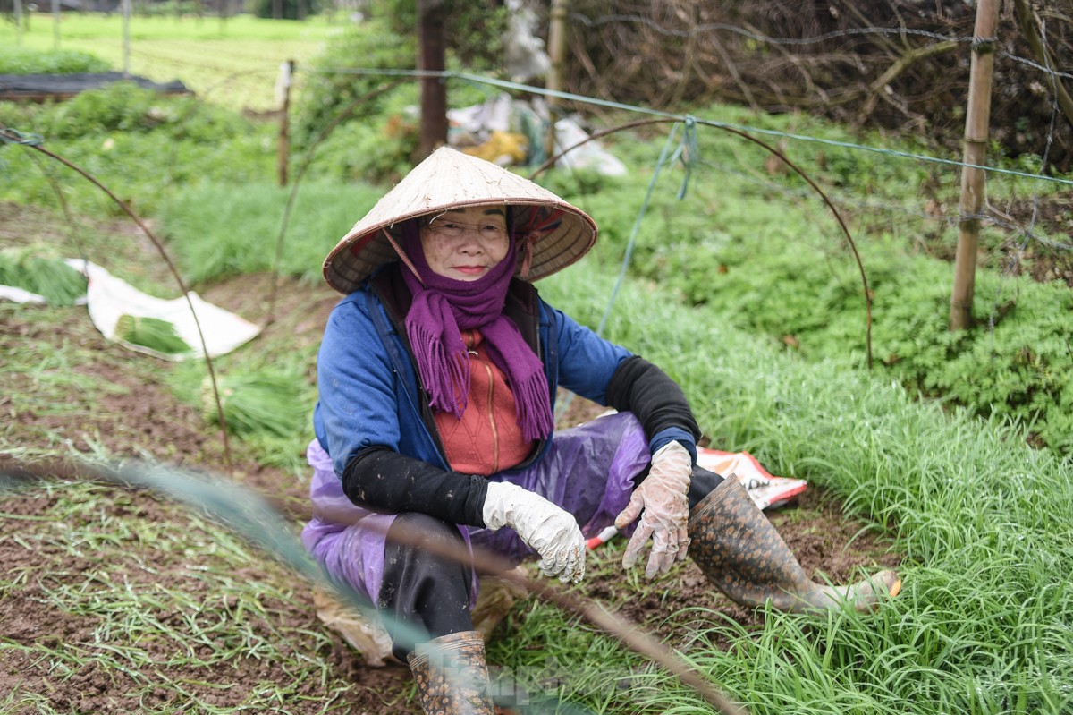 Nhịp sống người dân Thủ đô trong những ngày mưa rét dị thường - Ảnh 12.