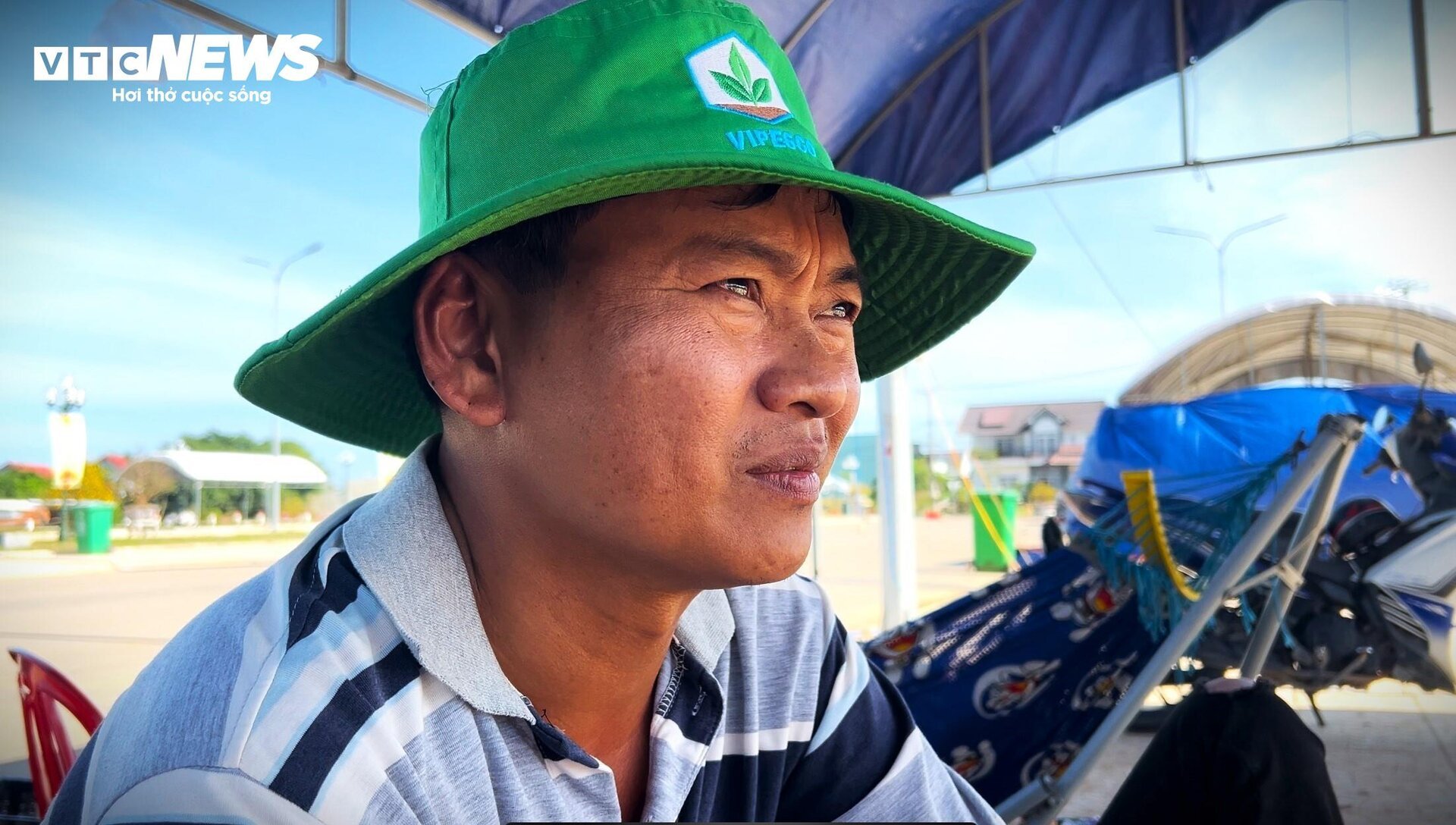Người trồng mai Bình Định: Cận Tết vẫn thấp thỏm chờ khách, mong lấy lại vốn - Ảnh 8. Người trồng mai Bình Định: Cận Tết vẫn thấp thỏm chờ khách, mong lấy lại vốn - Ảnh 8.