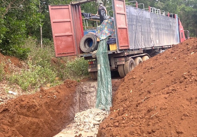 Tin mới vụ vận chuyển 5,5 tấn cá tầm trái phép qua Cửa khẩu Quốc tế Bờ Y - Ảnh 1.