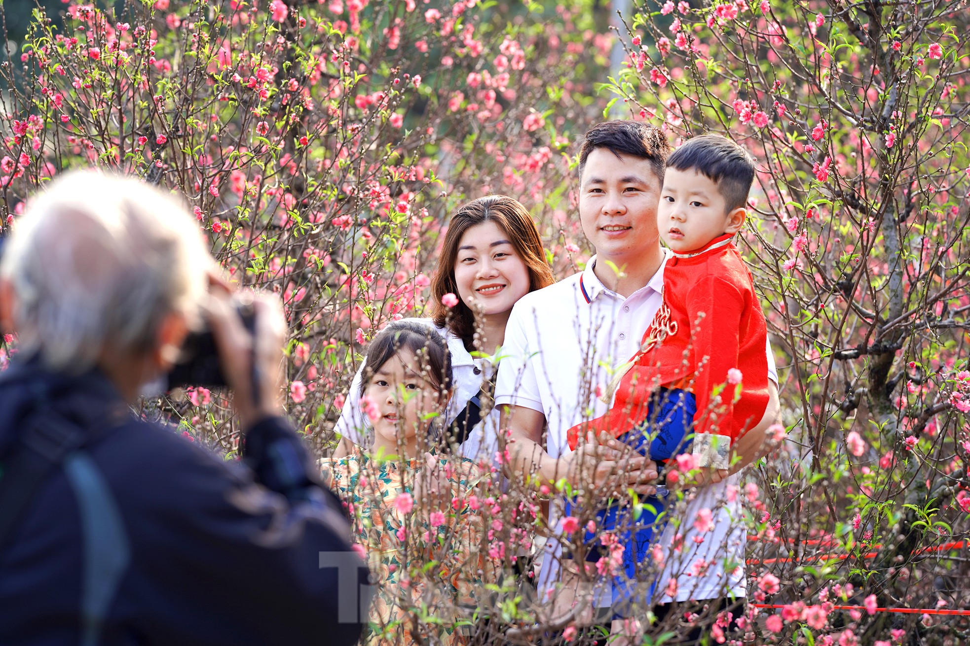 Đào quất 'ê hề', tiểu thương quyết không hạ giá dù sức mua kém - Ảnh 17.