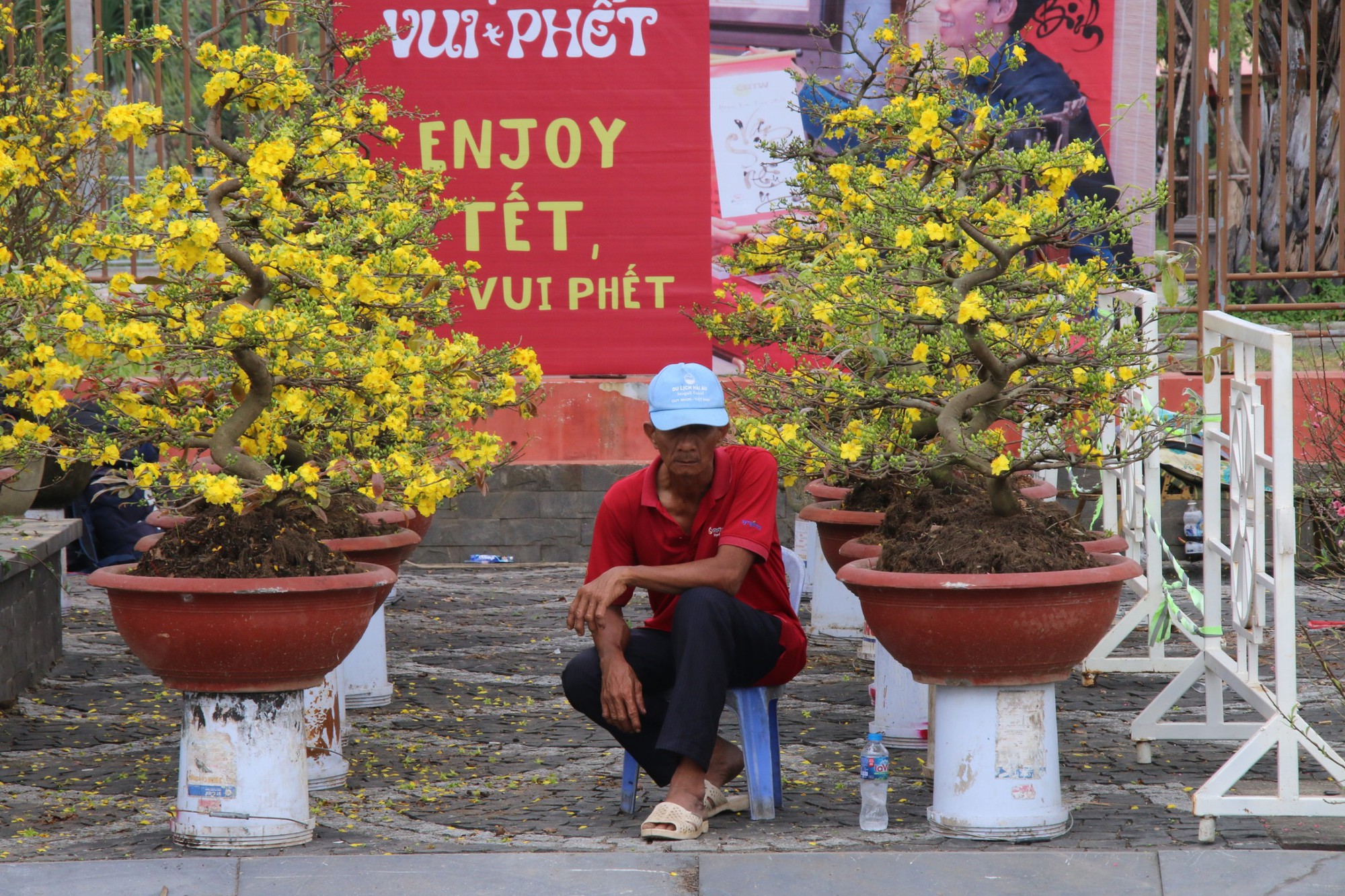 Vắng bóng thượng đế, tiểu thương tại chợ hoa Tết lớn nhất Đà Nẵng đứng ngồi không yên - Ảnh 2.
