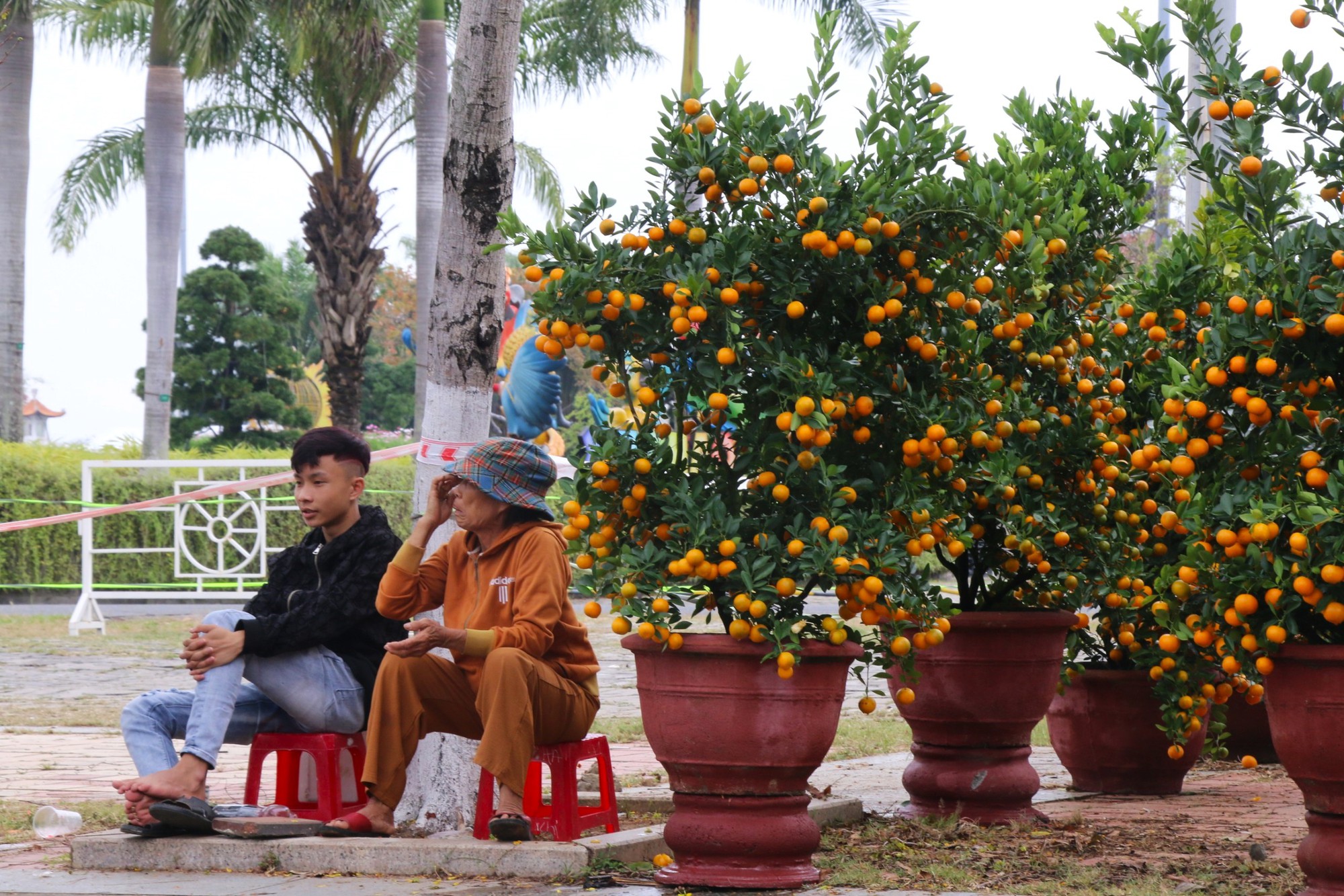Vắng bóng thượng đế, tiểu thương tại chợ hoa Tết lớn nhất Đà Nẵng đứng ngồi không yên - Ảnh 6.