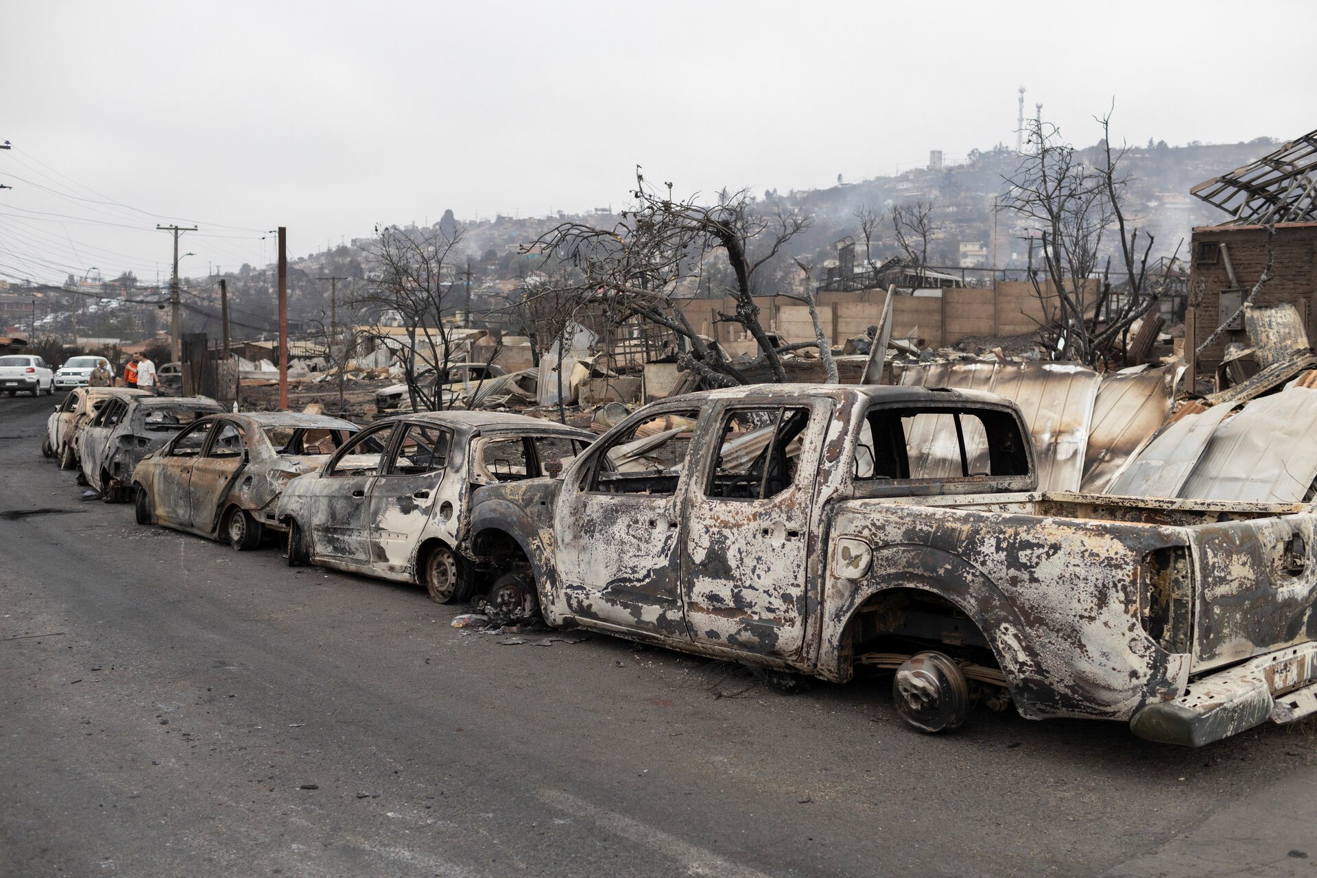 Cháy rừng tàn phá các thành phố Chile, cảnh tượng như đang ở địa ngục - Ảnh 1.
