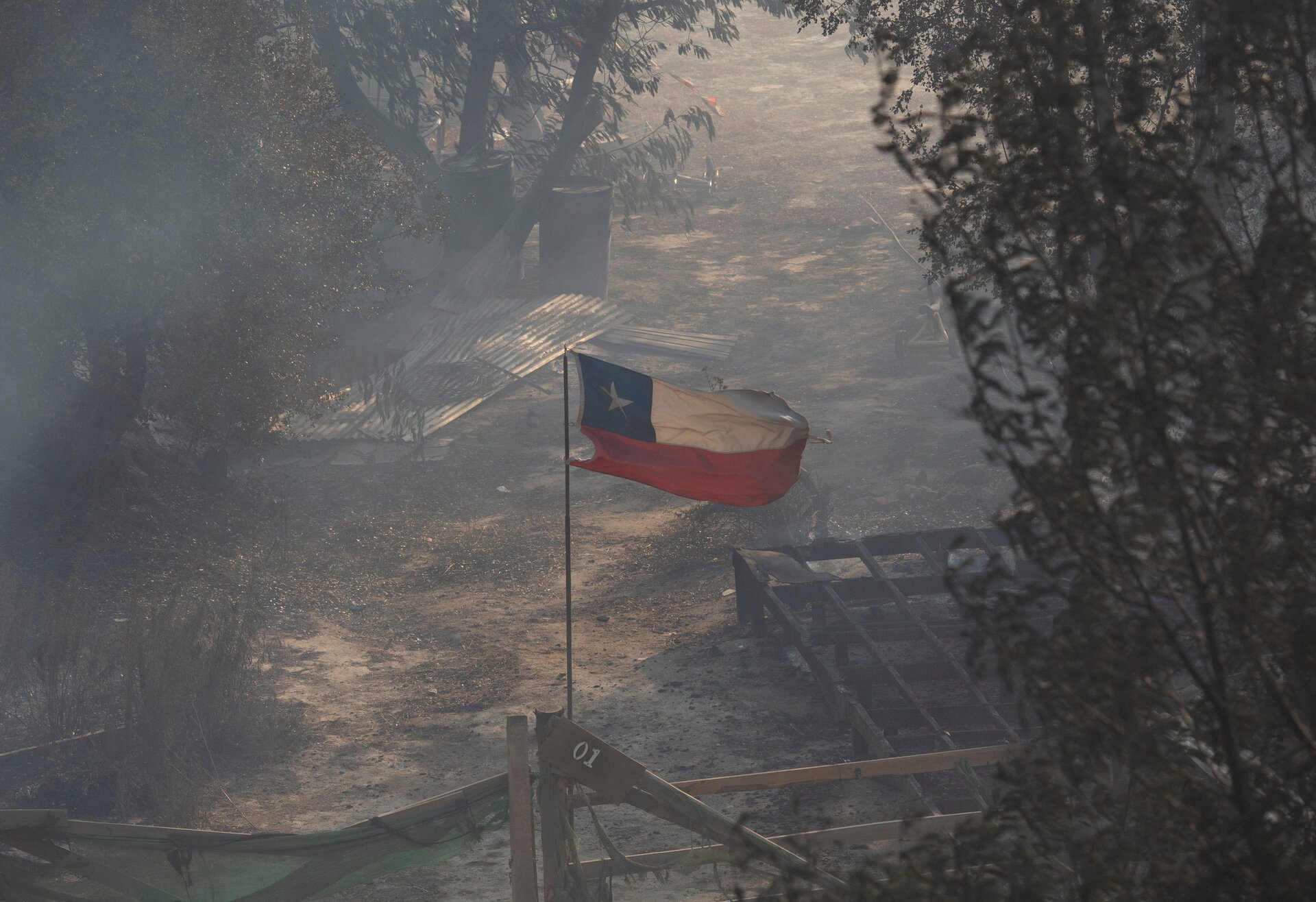 Cháy rừng tàn phá các thành phố Chile, cảnh tượng như đang ở địa ngục - Ảnh 10.